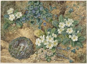 Nature morte d