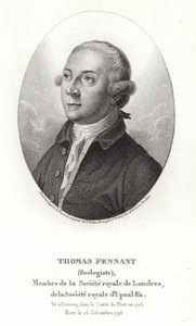 Thomas Pennant - Thomas Gainsborough