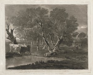Paysage boisé avec des vaches près d