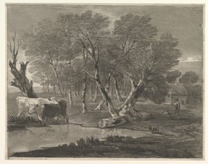 Paysage boisé avec vaches près d