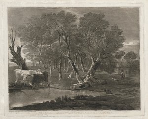 Paysage boisé avec vaches près d