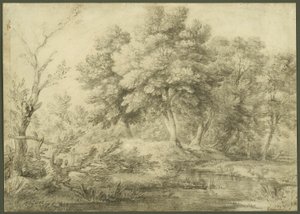 Paysage boisé avec ruisseau