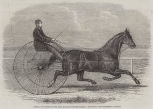 Jackey, le gagnant des dernières Aintree Trotting Stakes à Liverpool
