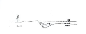 Coupe transversale d
