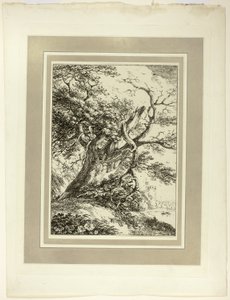 Vieil arbre, du premier numéro de Spécimens de Polyautographie