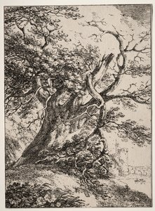 Spécimens de polyautographie: Paysage avec un chêne - Thomas Hearne
