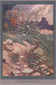 Le serpent a levé la tête (lithographie couleur) - Thomas Heath Robinson