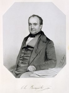 Charles Lucien Jules Laurent Bonaparte, Prince de Canino et Musignano (1803-57) 1850 - Thomas Herbert Maguire