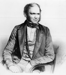 Charles Darwin, 1849 - Thomas Herbert Maguire