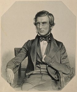 Portrait de Sir Joseph Dalton Hooker, 1851 - Thomas Herbert Maguire
