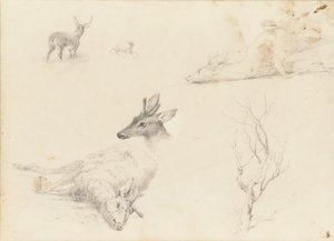 Carnet de croquis de paysages et sujets animaliers