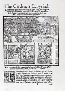 Tonnelle construite comme ombrage contre le soleil et plantation en plates-bandes surélevées, du livre The Gardeners Labyrinth, 1577 - Thomas Hill