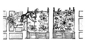 Plantation en plates-bandes surélevées, de 