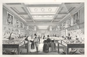 Musée britannique, galerie zoologique, de 