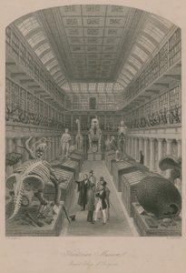 Musée Hunterian, Collège royal des chirurgiens, Londres - Thomas Hosmer Shepherd