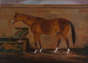Portrait de Lexington - Thomas J. Scott