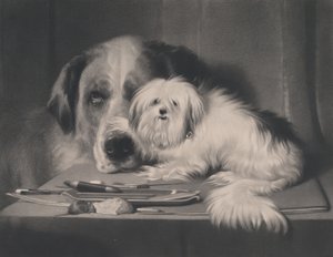 Le Chien-lion de Malte - Le dernier de sa tribu, 1844 - Thomas Landseer