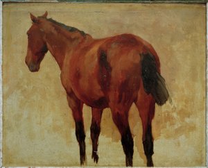 Étude de cheval