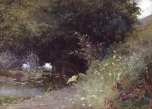 Cygnes sur un lac - Thomas Mackay