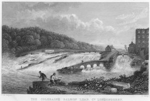 Le saut du saumon de Coleraine, comté de Londonderry (gravure)