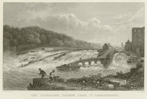 Le saut du saumon de Coleraine - Thomas Mann Baynes