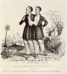 Les frères siamois, âgés de 18 ans, imprimé par Charles Hullmandel, vers 1829