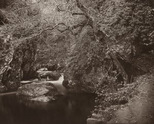 Le trou de Dargle, vers 1865 - Thomas Marcus Brownrigg