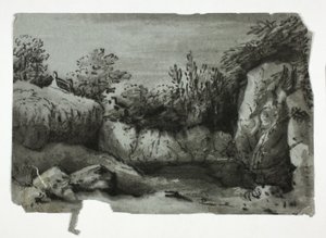 Piscine à rochers - Thomas Monro