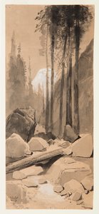 Dans la vallée de Yosemite