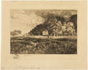Paysage de Long Island - Thomas Moran