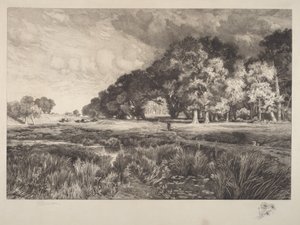 Paysages de Long Island - Thomas Moran