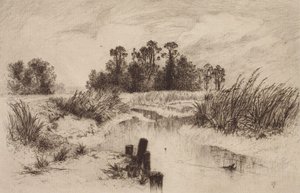 Paysage marécageux avec ruisseau - Thomas Moran