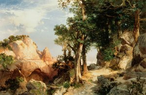 Sur le sentier des baies - Grand Canyon de l