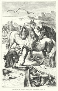 Illustration des Voyages de Gulliver par Jonathan Swift (gravure) - Thomas Morten
