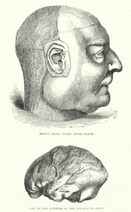 Illustration pour la vie de Jonathan Swift - Thomas Morten