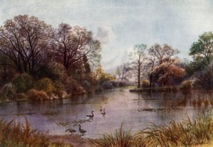 Jardins de Kew : Le lac - Thomas Mower Martin