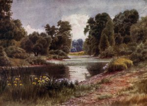 Jardins de Kew : Le Lac, vue vers le sud - Thomas Mower Martin