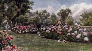 Jardins de Kew : Les pivoines