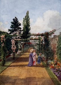 Jardins de Kew : La roseraie