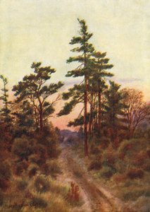 Route près de Victoria, soirée (lithographie couleur)