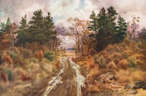 Route près de la baie de Fundy, automne (lithographie couleur)