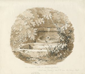 Biddulph - Ancien puits dans les bois de Knypersley : dessin sépia