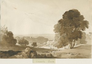Cannock Chase - Thomas Peploe Wood