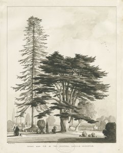 Presbytère de Haughton: dessin au lavis sépia - Thomas Peploe Wood