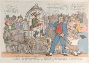 Une acquisition rare pour la ménagerie royale, 28 juillet 1815 - Thomas Rowlandson