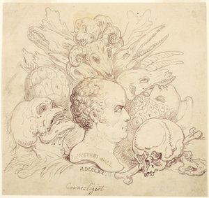 F. Josephus Gall, crâniologue