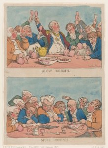 Vers luisants, vers de fumier - Thomas Rowlandson
