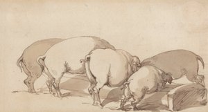 Cochons à une auge - Thomas Rowlandson