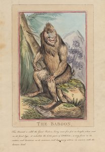  - Thomas Rowlandson