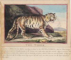 Lot de huit avec page de titre. « Animaux étrangers et domestiques ». 5. Le loup